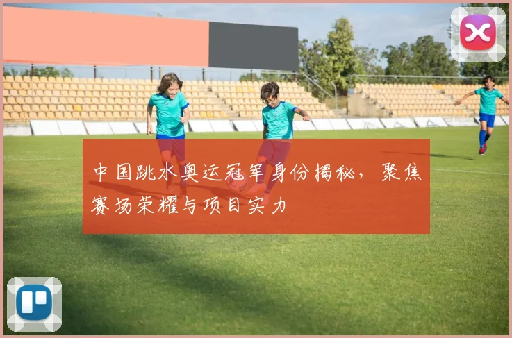 中国跳水奥运冠军身份揭秘,聚焦赛场荣耀与项目实力