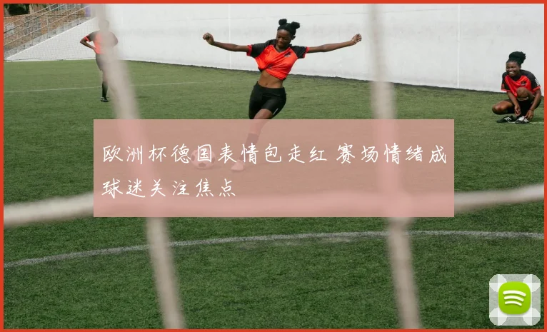 欧洲杯德国表情包走红 赛场情绪成球迷关注焦点