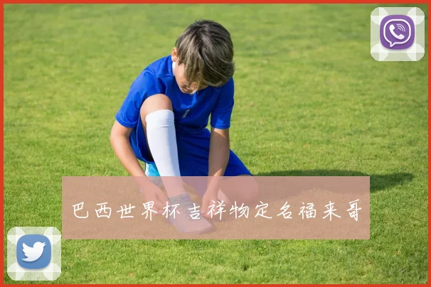 巴西世界杯吉祥物定名福来哥
