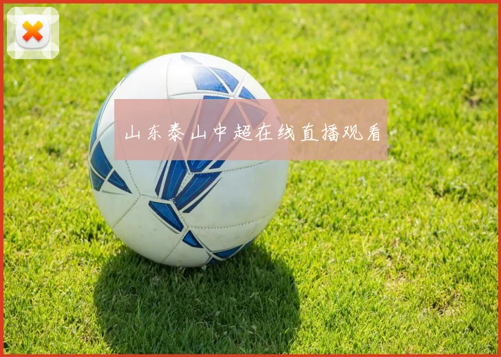 山东泰山中超在线直播观看
