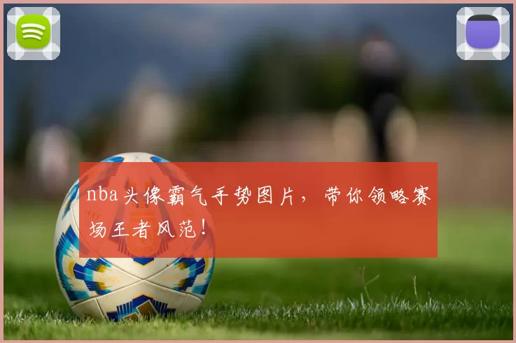 nba头像霸气手势图片，带你领略赛场王者风范！