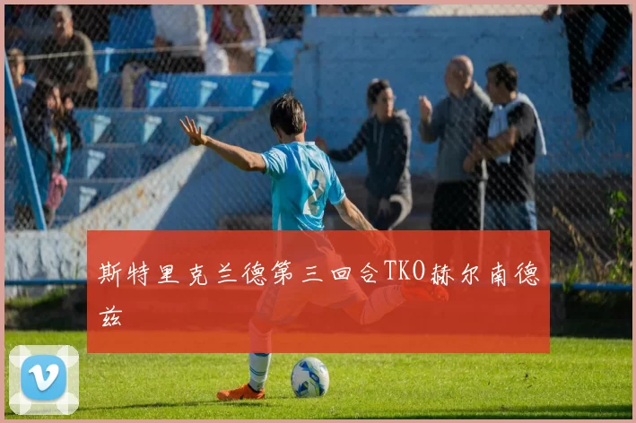 斯特里克兰德第三回合TKO赫尔南德兹