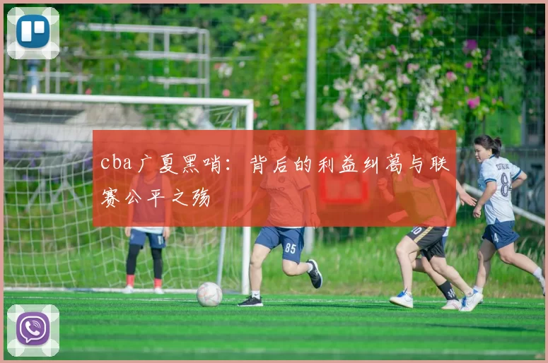 cba广夏黑哨:背后的利益纠葛与联赛公平之殇