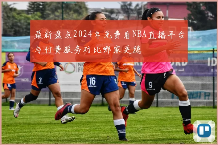 最新盘点2024年免费看NBA直播平台与付费服务对比哪家更稳